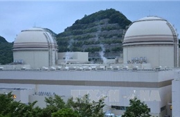 Nhật Bản loại bỏ hai lò phản ứng hạt nhân 
